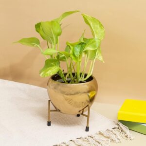 Apple Shape Golden Glossy Metallic Indoor Pot with Stand