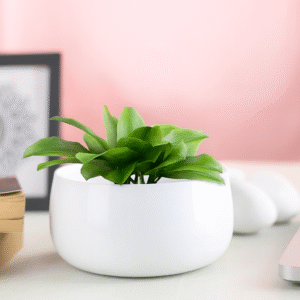 Modern Handi Pot for Plants White Metal Planter, Decorative Indoor Pot